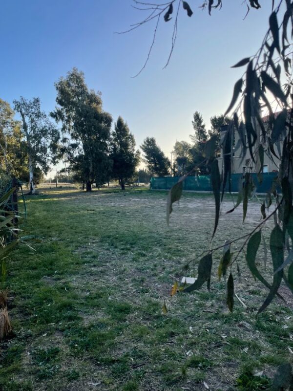 0588bbdf-7f21-4ac2-a4a3-f707f9106f80