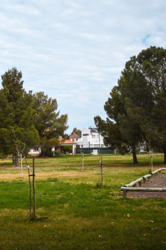 0f1d7fae-e717-4855-93ae-a211658c93ca