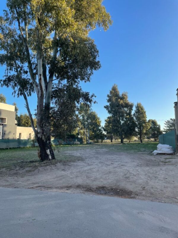 1d176b79-e442-44e6-8ab5-d19105711f4f