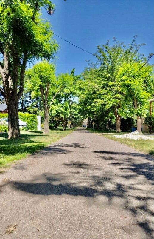 243066bd-5b38-4bea-ba89-cf96fc140c0a