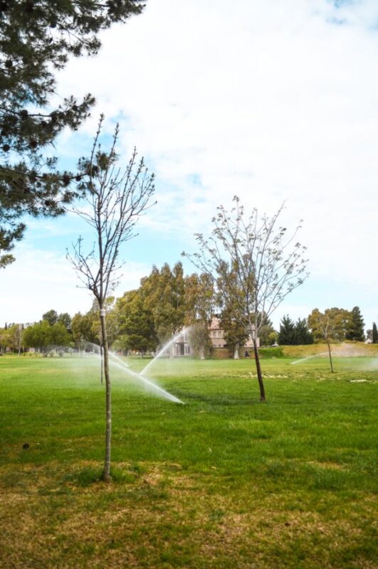 28a03802-ecb4-4a17-8890-22d2b33675d3