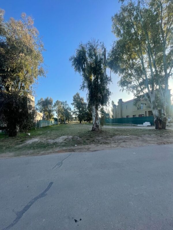 2c4141b2-f725-401b-8acf-ccc42e92c096