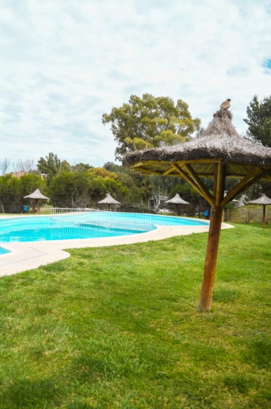 3b19e54d-da8c-4b7b-b2c3-0621c5c997e6