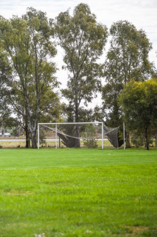 53f6b029-5fdb-4e2a-a878-bb9a8bedbdb5