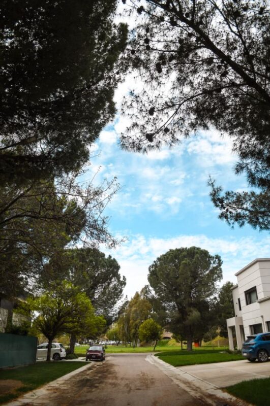 7ea8b561-88a1-4f85-87b1-a8b26526dfb9