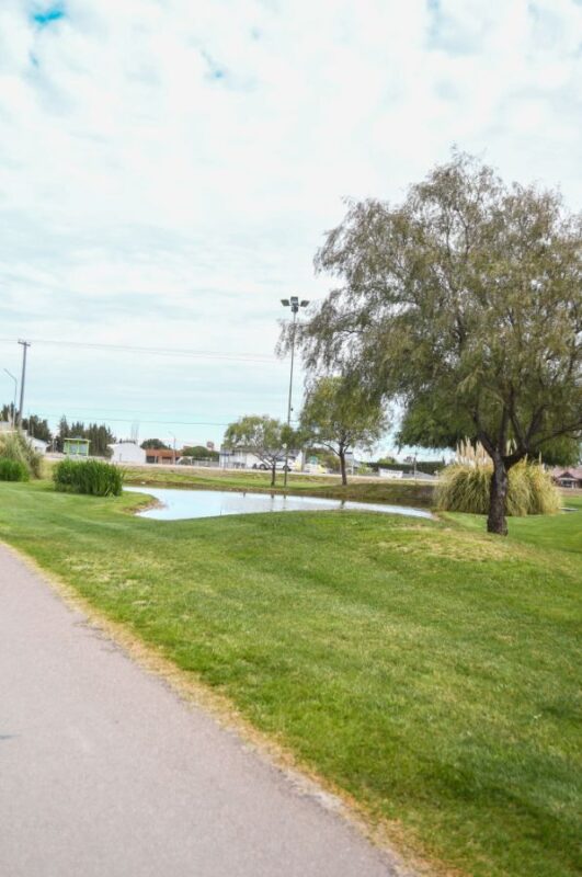 88d5ec9a-ba81-44e5-8aa8-b88da90b1120