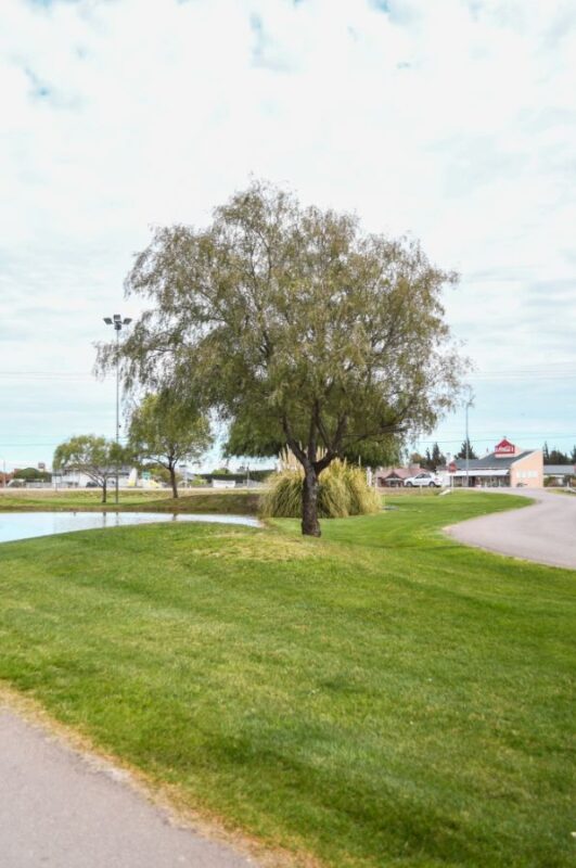 8e0020d2-bf35-4596-a966-4adf63625d14