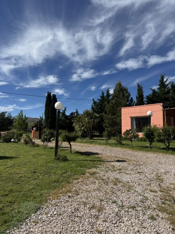 IMG_3111 - copia
