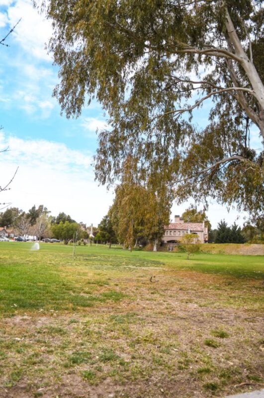 eb47625e-1eb3-44bf-a315-32745b3f9e39