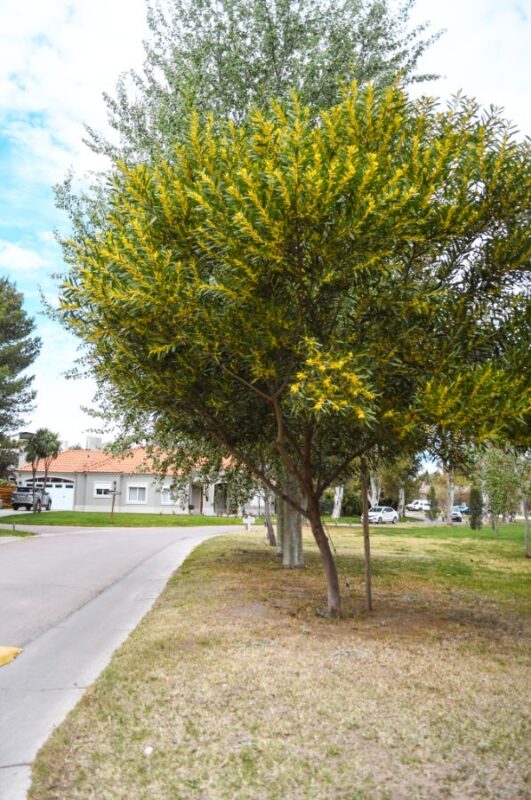 f583a097-aeda-4309-af81-bb52702a7b52